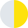 White Gold and Yellow Gold