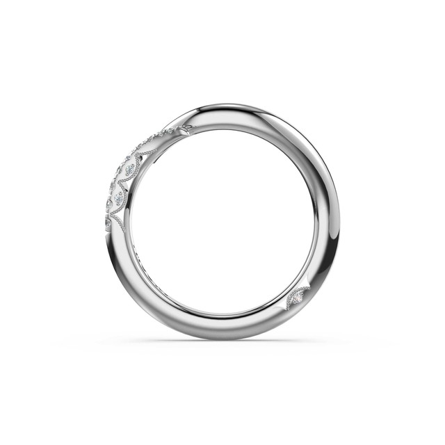 Polished Bypass Band