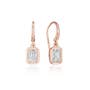 Diamond French Wire Earring - 1ct 