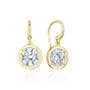 Diamond French Wire Earring - 4.08ct 