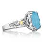 Crescent Ceiling Ring featuring Neo-Turquoise 